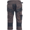 Pantaloni scurti Dayboro 3/4 