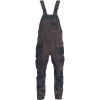 Salopeta Dayboro