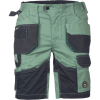 Pantaloni scurti Dayboro