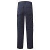 Pantaloni C701
